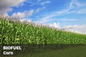 Biofuel Separation